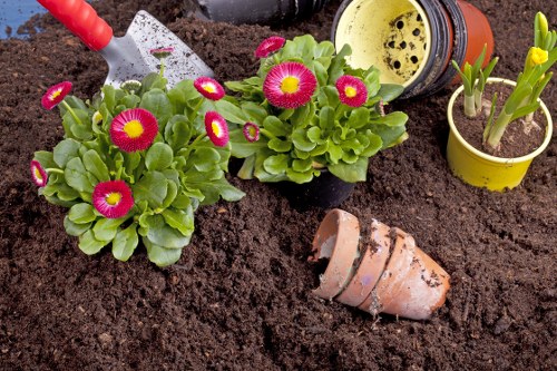 Modern deck cleaning transforming London outdoor spaces