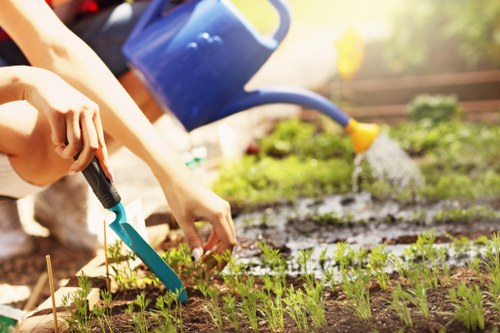 Outdoor deck cleaning in Noak Hill