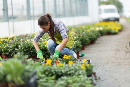 Professional deck cleaning equipment in use