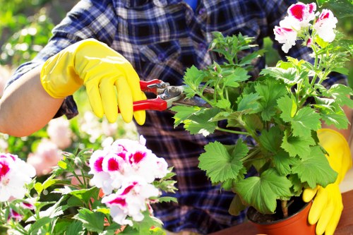 Elegant hedge trimming in London decking area