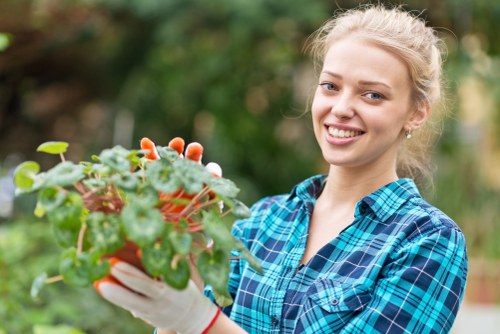 Surbiton deck cleaning process with eco-friendly solutions