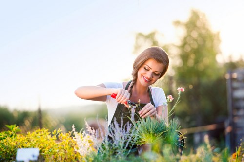 Eco-friendly deck cleaning demonstration