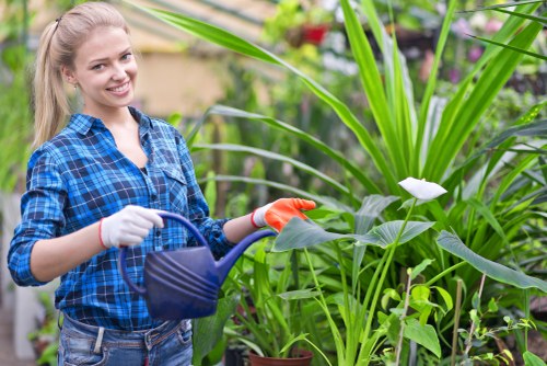 Technician cleaning a wooden deck with modern equipment