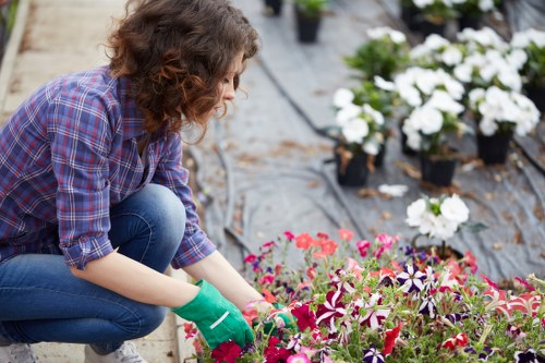 Professional applying cleaning solutions on a deck