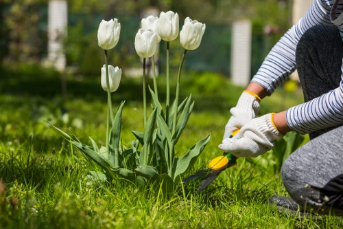 Clean outdoor decking in Neasden with eco-friendly practices