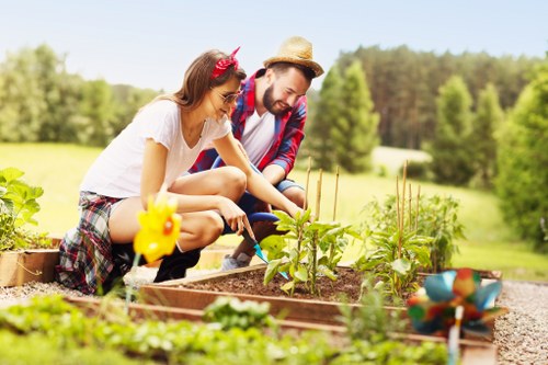 Professional deck maintenance tools and cleaning materials in use