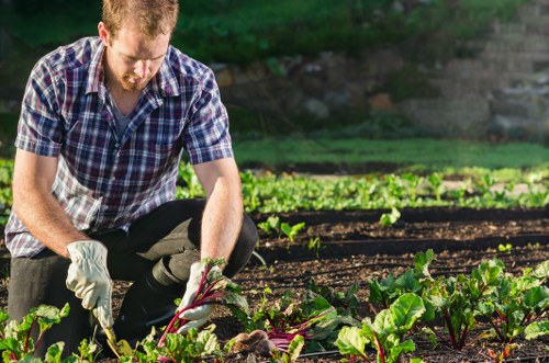 Professional outdoor maintenance service in London