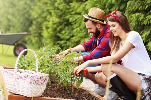 Close-up view of eco-friendly deck cleaning methods