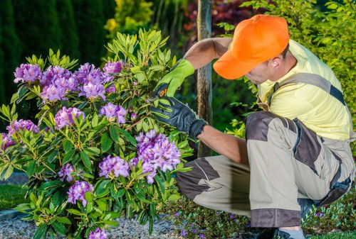 Maintenance tips for a long-lasting, clean deck