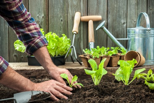 Professional deck cleaners using eco-friendly solutions in Ickenham