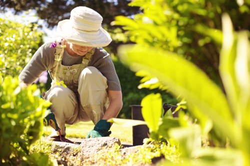 Deck cleaning tools and eco-friendly products in use