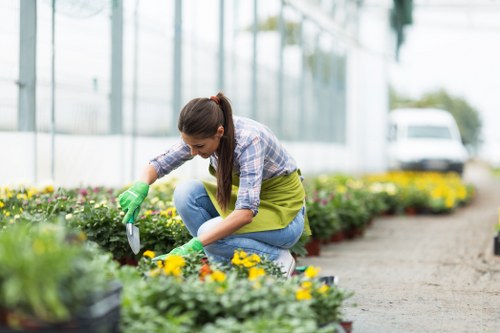 Tips for maintaining a beautiful outdoor deck in London