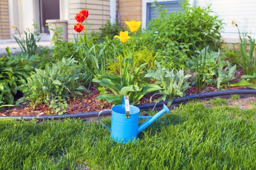 Deck with cleaning tools in Grove Park