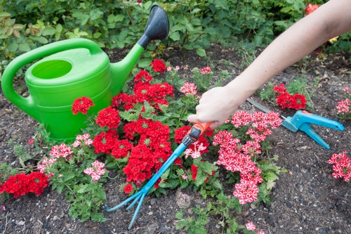 Professional deck cleaning tools on a South Hackney deck