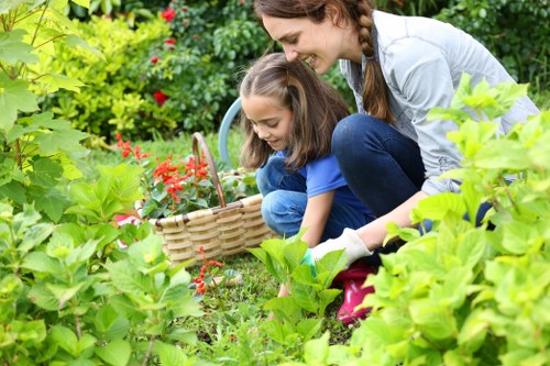 Expert advice on maintaining a pristine deck in East Barnet