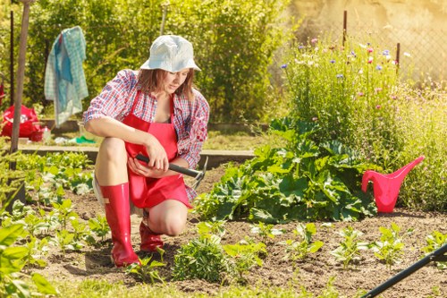 Local community maintaining decks in nearby Old Ford areas