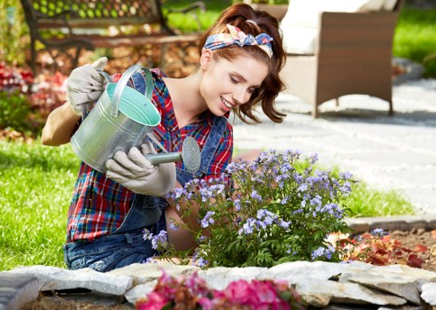 Detailed deck cleaning process with step-by-step instructions