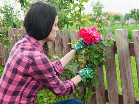 Expert team delivering lawn mowing and deck cleaning services