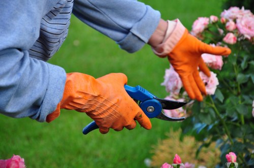 Deck cleaning tools and brushes on a wooden deck