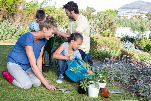 Professional cleaning tools used for effective deck maintenance