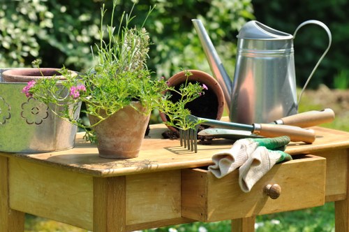 Eco-friendly deck cleaning process