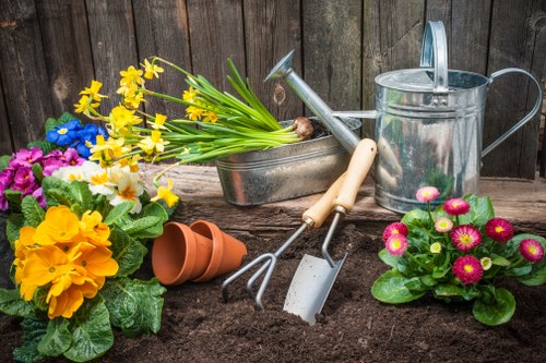 Outdoor deck maintenance showing eco-friendly cleaning