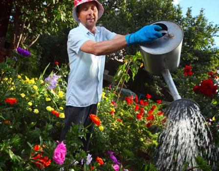 Expert deck cleaning service in London with garden care