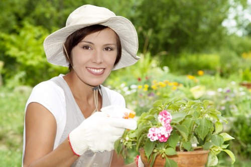 Step-by-step deck cleaning guide illustration