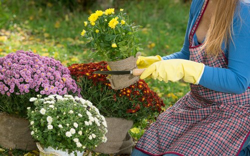 Homeowner reviewing deck cleaning services in Hampton