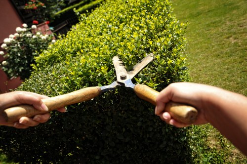 Close-up of effective deck cleaning tools and brushes