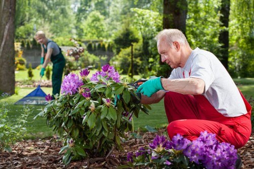 Eco-friendly cleaning tools for wooden decks