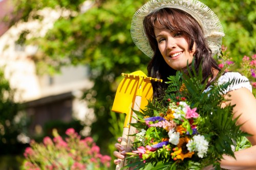 Step-by-step deck cleaning process with expert equipment