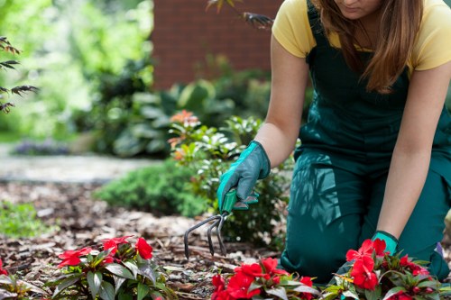 Professional deck cleaning tools and equipment in use