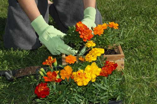 Seasonal deck maintenance tips with proper cleaning tools