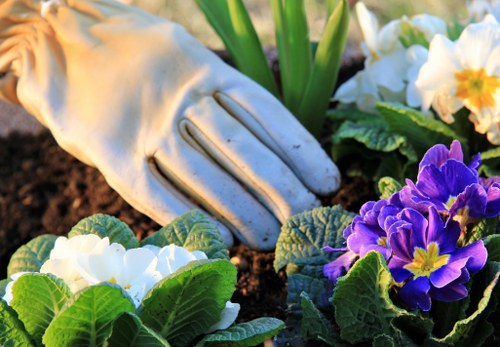 Eco-friendly cleaning products being used on a deck