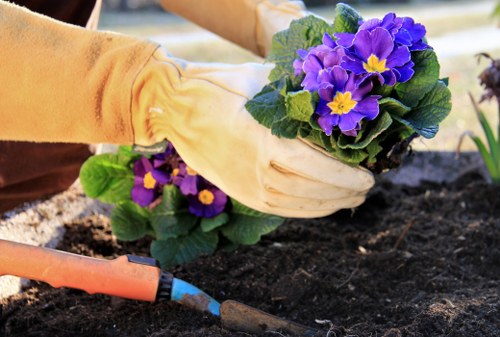 Detailed deck maintenance during seasonal changes