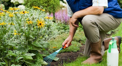 Local Cheam deck maintenance in outdoor setting