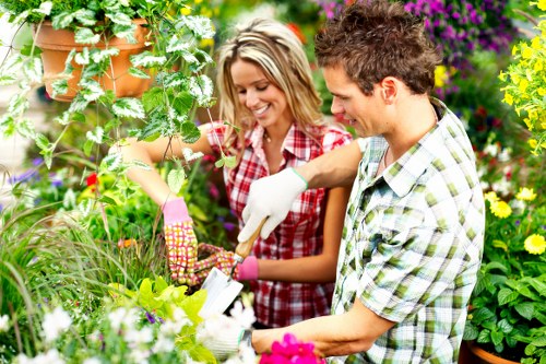 Eco-friendly deck cleaning service