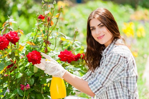 Local deck cleaning expertise in Abbey Wood and nearby communities