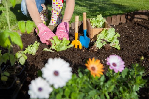 Local deck cleaning services overview