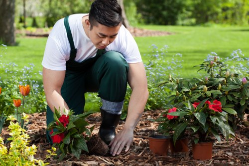 Eco-friendly deck cleaning process in North Kensington