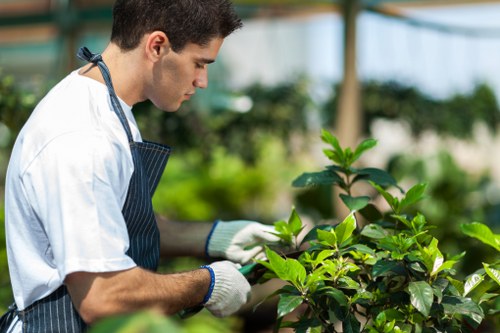 Eco-friendly hedge trimming techniques on deck