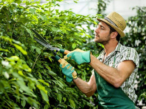 Homeowner cleaning a deck with eco-friendly tools in Bounds Green