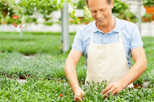 Professional deck cleaning with eco-friendly products