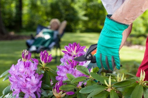 Detailed deck cleaning process with emphasis on eco-friendly methods