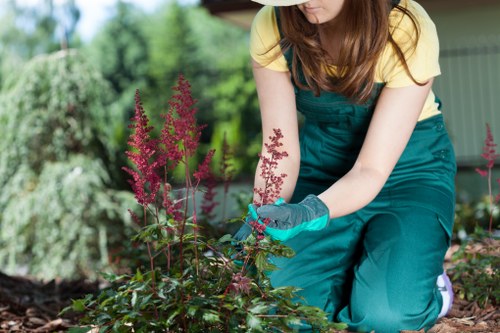 Deck maintenance with eco-friendly cleaning products