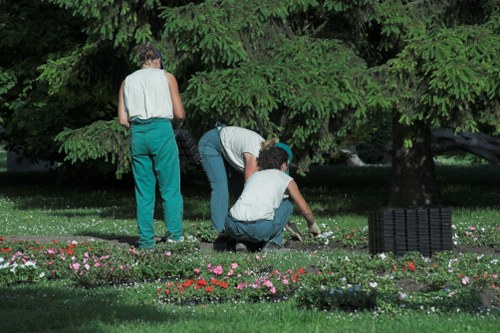 Professional deck cleaning tools and eco-friendly products in use