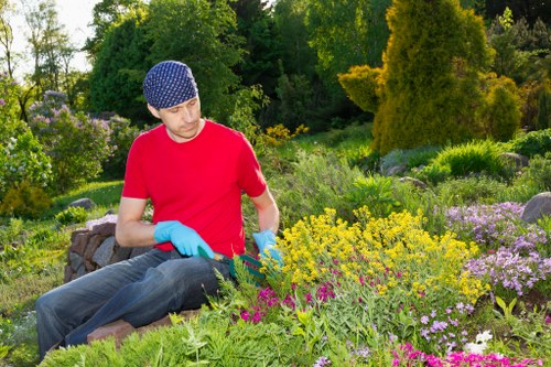 Eco-friendly deck cleaning solutions being applied