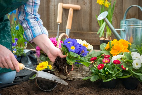 Essential deck cleaning tools including brushes and pressure washers in use.