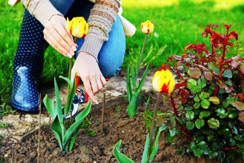 Step-by-step deck cleaning process